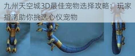 九州天空城3D最佳宠物选择攻略：玩家指南助你挑选心仪宠物