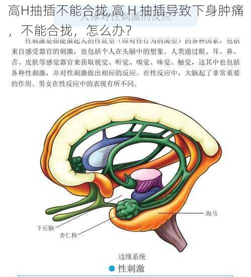 高H抽插不能合拢,高 H 抽插导致下身肿痛，不能合拢，怎么办？