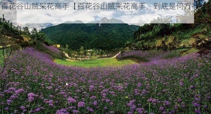 百花谷山贼采花高手【百花谷山贼采花高手，到底是何方神圣？】