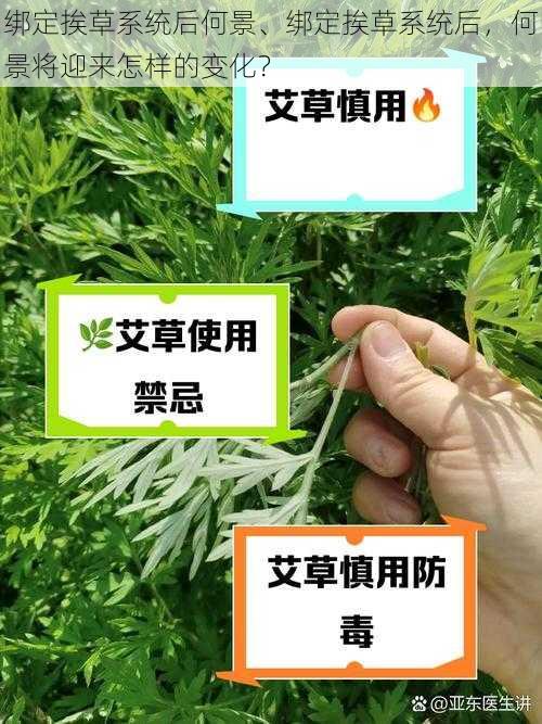 绑定挨草系统后何景、绑定挨草系统后，何景将迎来怎样的变化？