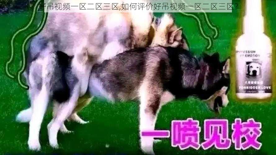 好吊视频一区二区三区,如何评价好吊视频一区二区三区？