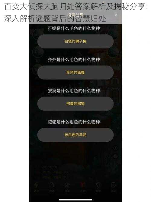 百变大侦探大脑归处答案解析及揭秘分享：深入解析谜题背后的智慧归处