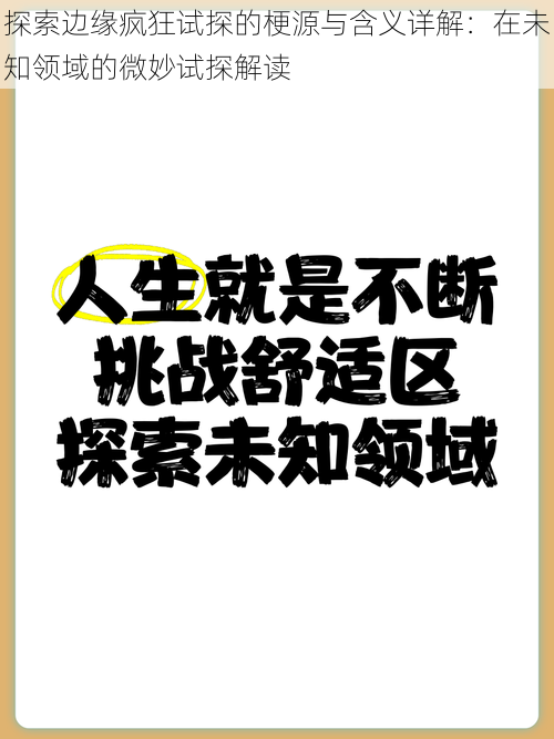 探索边缘疯狂试探的梗源与含义详解：在未知领域的微妙试探解读