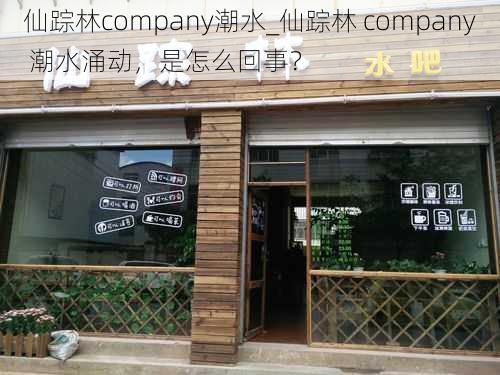 仙踪林company潮水_仙踪林 company 潮水涌动，是怎么回事？