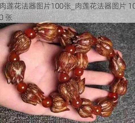 肉莲花法器图片100张_肉莲花法器图片 100 张