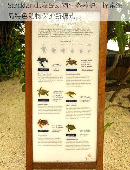 Stacklands海岛动物生态养护：探索海岛特色动物保护新模式