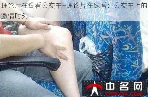 理论片在线看公交车—理论片在线看：公交车上的激情时刻