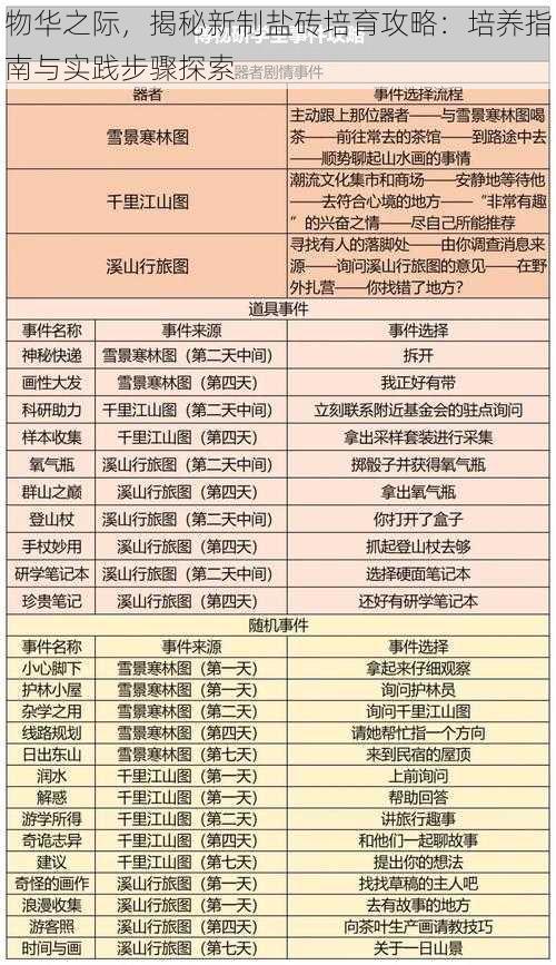 物华之际，揭秘新制盐砖培育攻略：培养指南与实践步骤探索