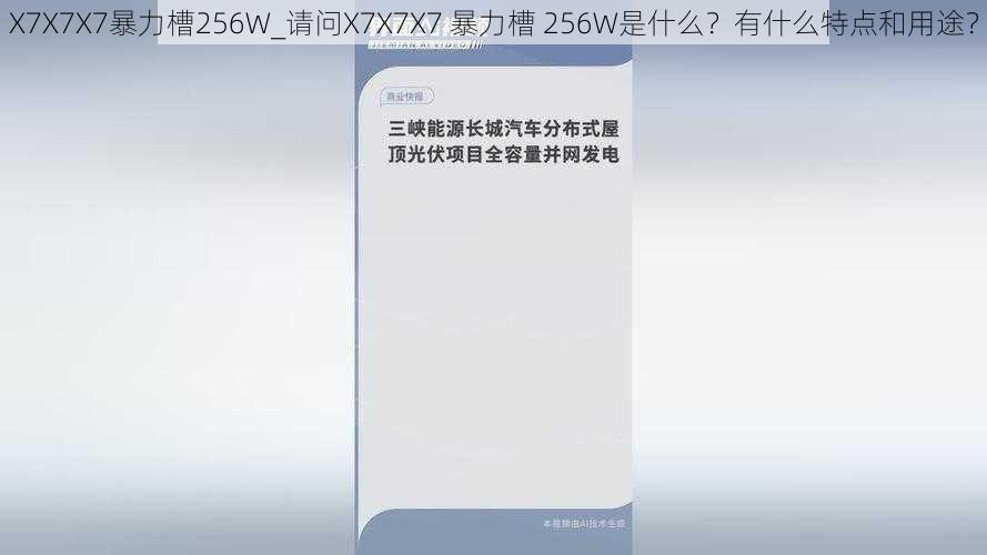 X7X7X7暴力槽256W_请问X7X7X7 暴力槽 256W是什么？有什么特点和用途？