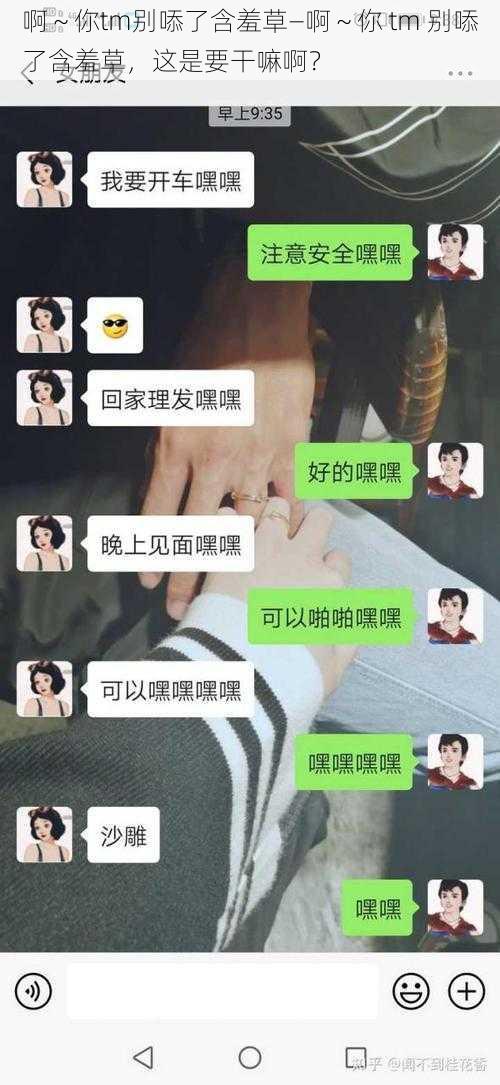 啊～你tm别㖭了含羞草—啊～你 tm 别㖭了含羞草，这是要干嘛啊？