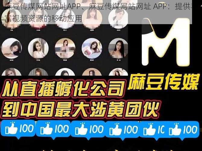 麻豆传煤网站网址APP、麻豆传煤网站网址 APP：提供丰富视频资源的移动应用