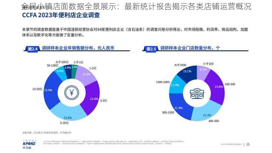 全民小镇店面数据全景展示：最新统计报告揭示各类店铺运营概况