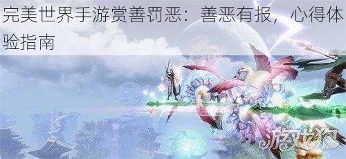 完美世界手游赏善罚恶：善恶有报，心得体验指南