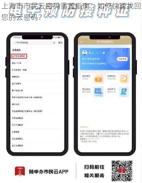 上海市市民云密码重置指南：如何快速找回您的云密码？
