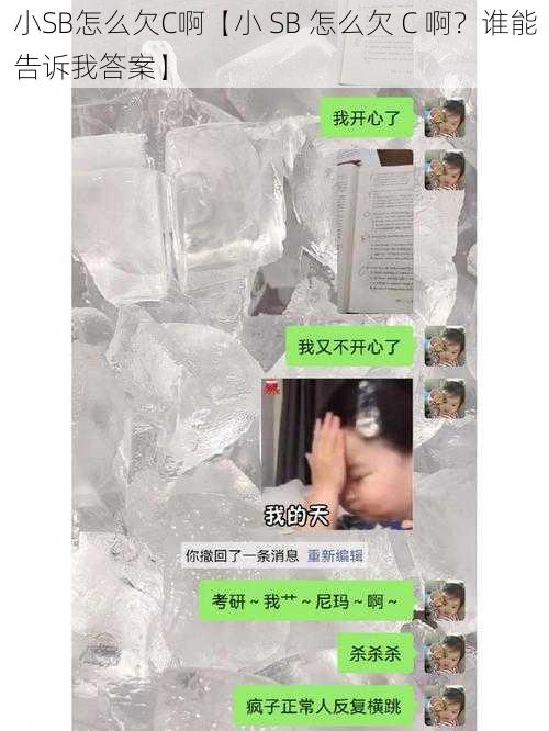 小SB怎么欠C啊【小 SB 怎么欠 C 啊？谁能告诉我答案】