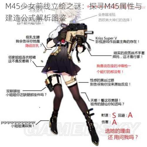 M45少女前线立绘之谜：探寻M45属性与建造公式解析图鉴