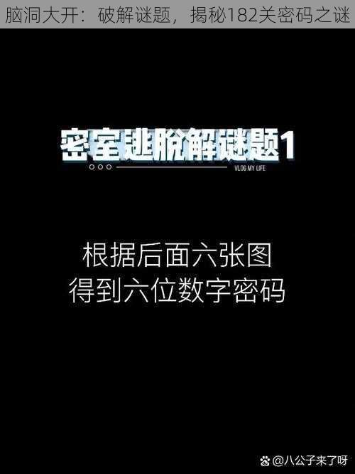 脑洞大开：破解谜题，揭秘182关密码之谜