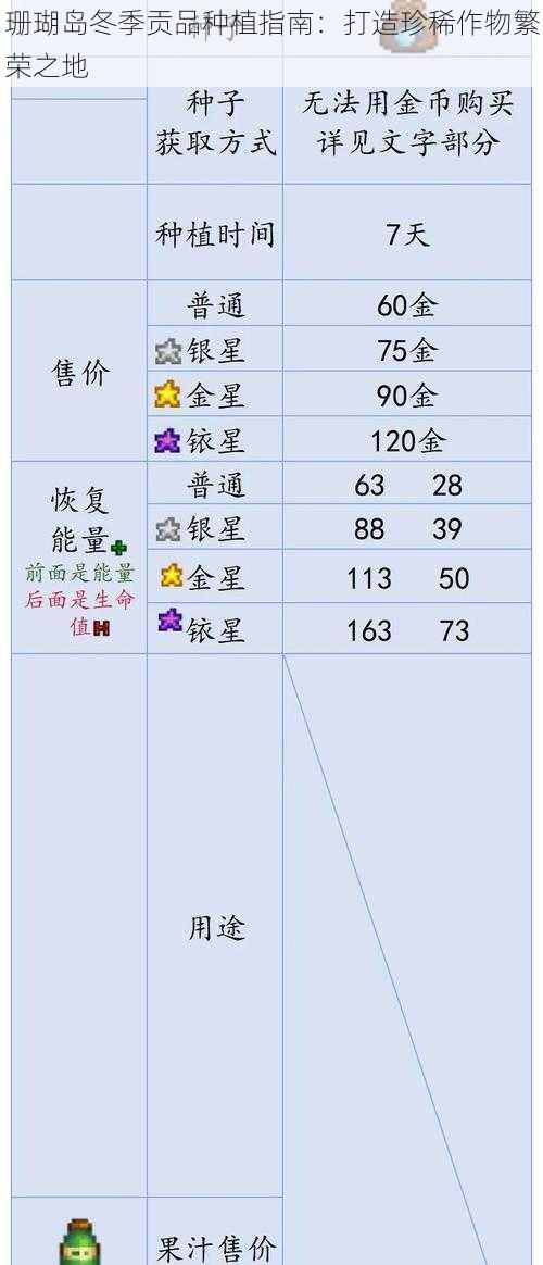 珊瑚岛冬季贡品种植指南：打造珍稀作物繁荣之地