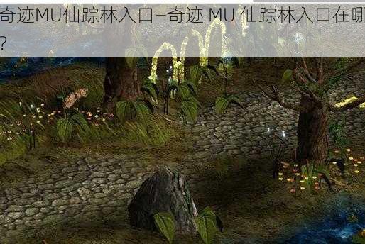 奇迹MU仙踪林入口—奇迹 MU 仙踪林入口在哪？