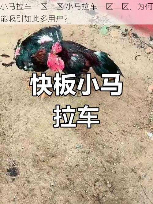 小马拉车一区二区 小马拉车一区二区，为何能吸引如此多用户？