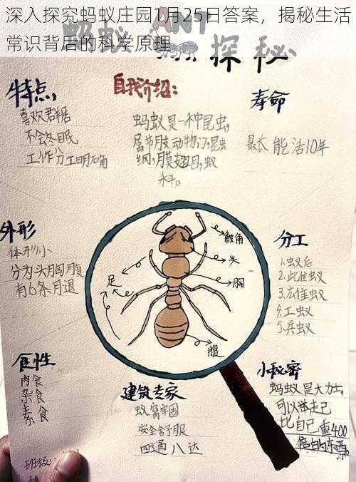 深入探究蚂蚁庄园1月25日答案，揭秘生活常识背后的科学原理