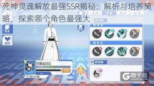 死神灵魂解放最强SSR揭秘：解析与培养策略，探索哪个角色最强大