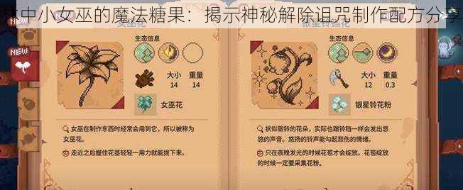 林中小女巫的魔法糖果：揭示神秘解除诅咒制作配方分享