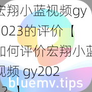 宏翔小蓝视频gy2023的评价【如何评价宏翔小蓝视频 gy2023？】