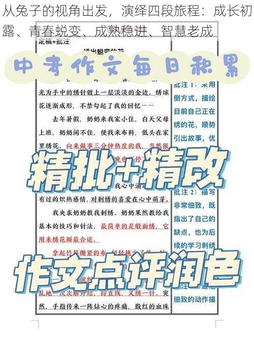 从兔子的视角出发，演绎四段旅程：成长初露、青春蜕变、成熟稳进、智慧老成