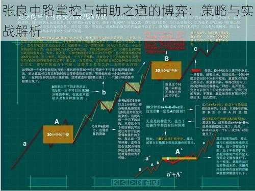 张良中路掌控与辅助之道的博弈：策略与实战解析