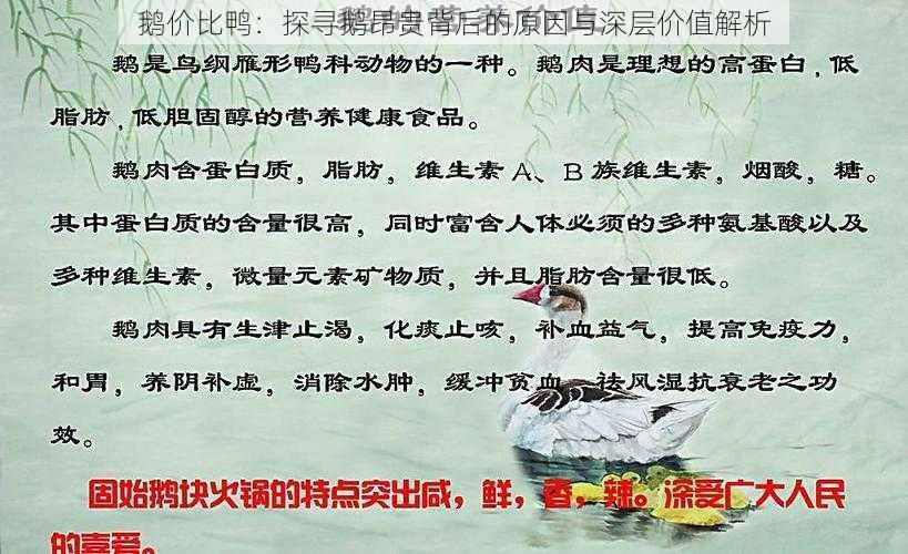 鹅价比鸭：探寻鹅昂贵背后的原因与深层价值解析