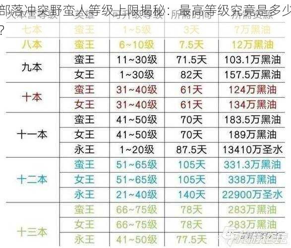 部落冲突野蛮人等级上限揭秘：最高等级究竟是多少？