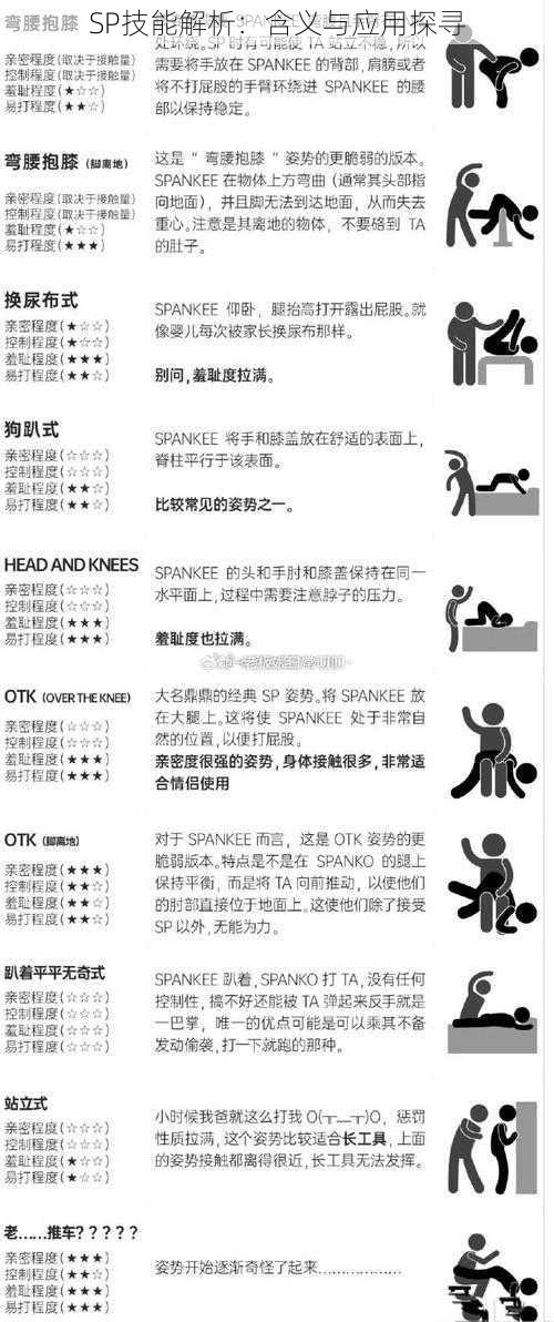 SP技能解析：含义与应用探寻