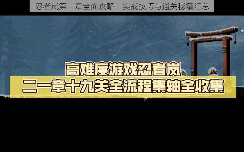 忍者岚第一章全面攻略：实战技巧与通关秘籍汇总