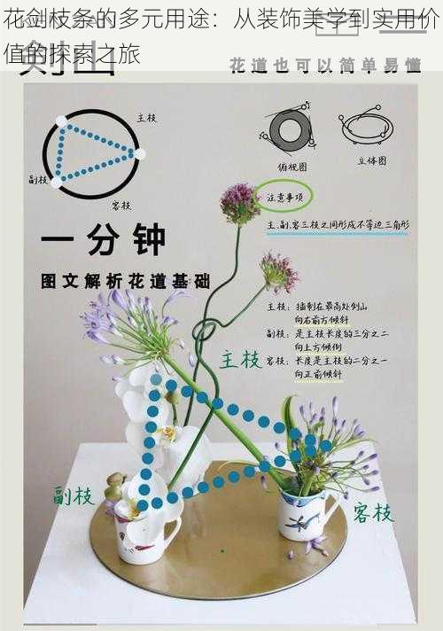 花剑枝条的多元用途：从装饰美学到实用价值的探索之旅