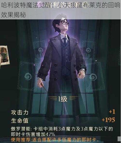 哈利波特魔法觉醒：小天狼星布莱克的回响效果揭秘