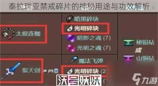 泰拉瑞亚禁戒碎片的神秘用途与功效解析