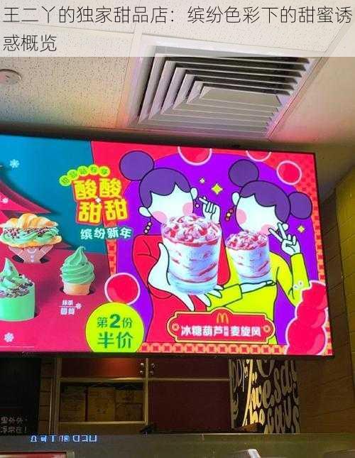 王二丫的独家甜品店：缤纷色彩下的甜蜜诱惑概览