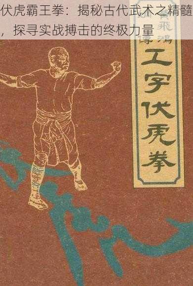 伏虎霸王拳：揭秘古代武术之精髓，探寻实战搏击的终极力量