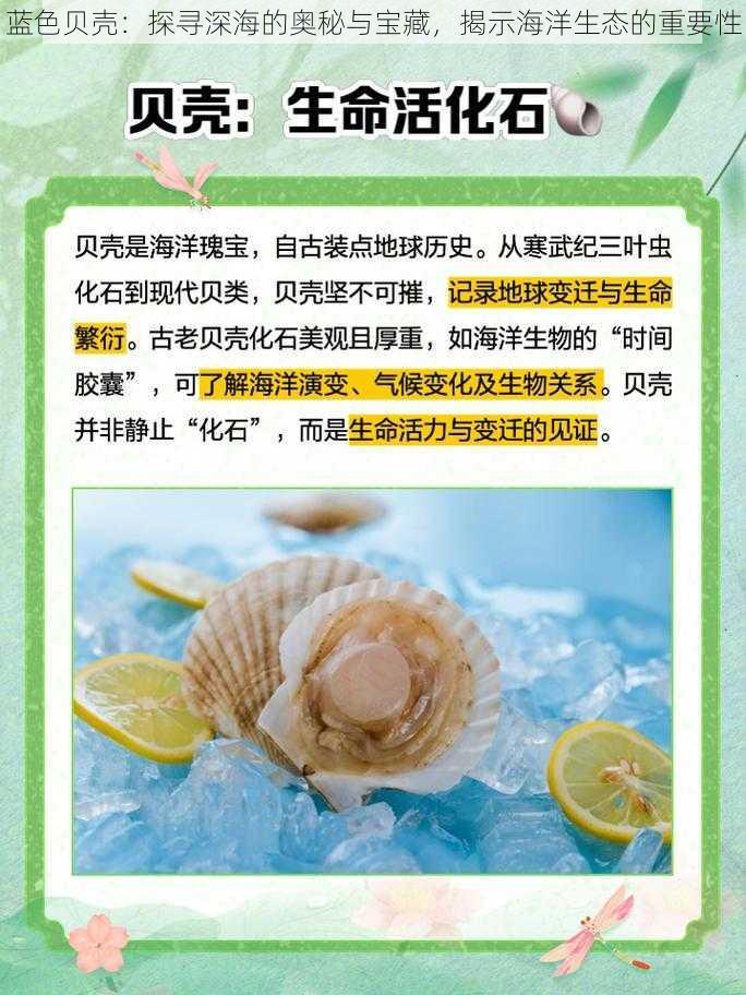 蓝色贝壳：探寻深海的奥秘与宝藏，揭示海洋生态的重要性