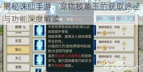 揭秘诛仙手游：宠物技能玉的获取途径与功能深度解读